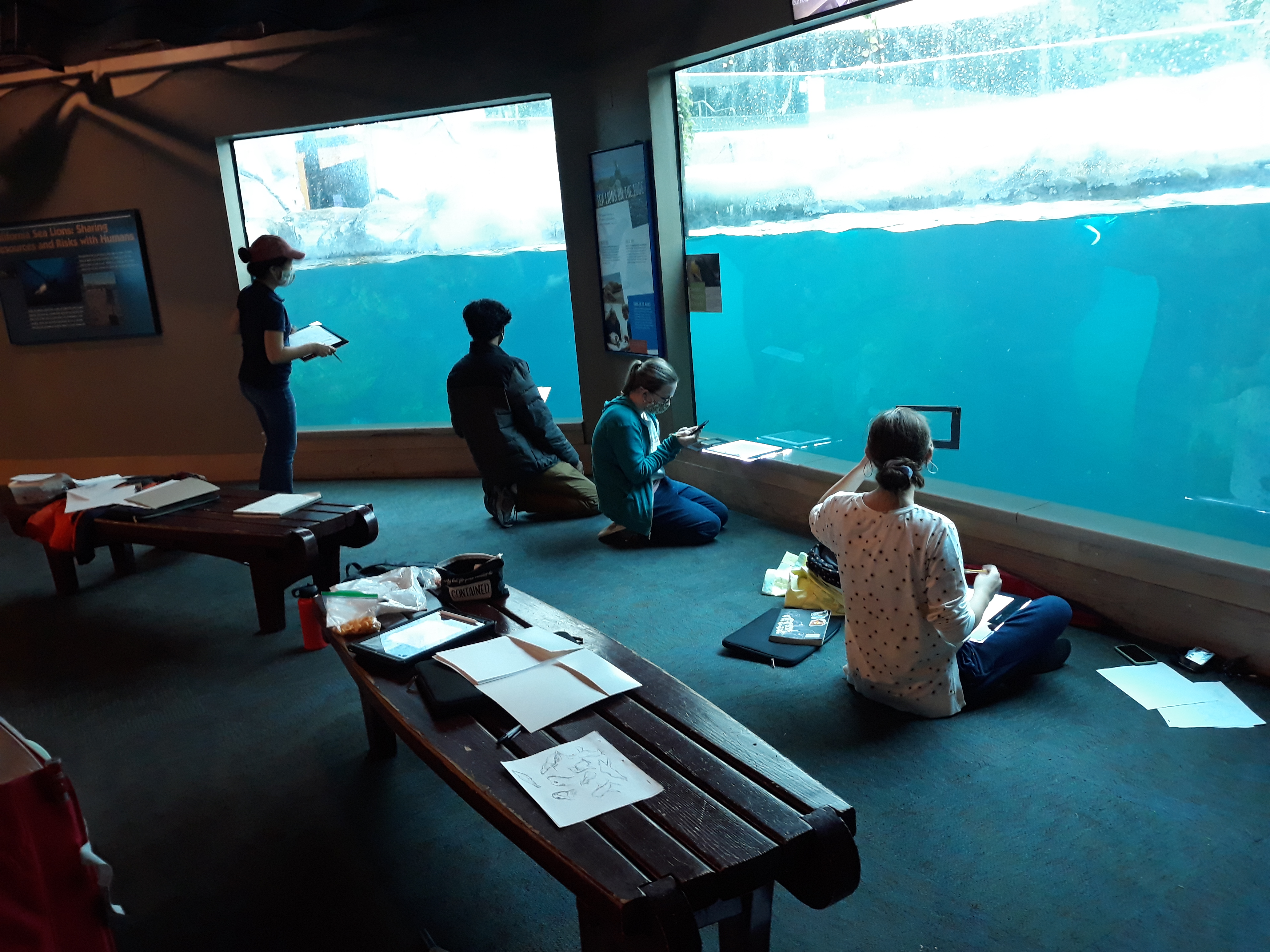 Students sitting working on paper, drawing reference from the seals in the zoo.