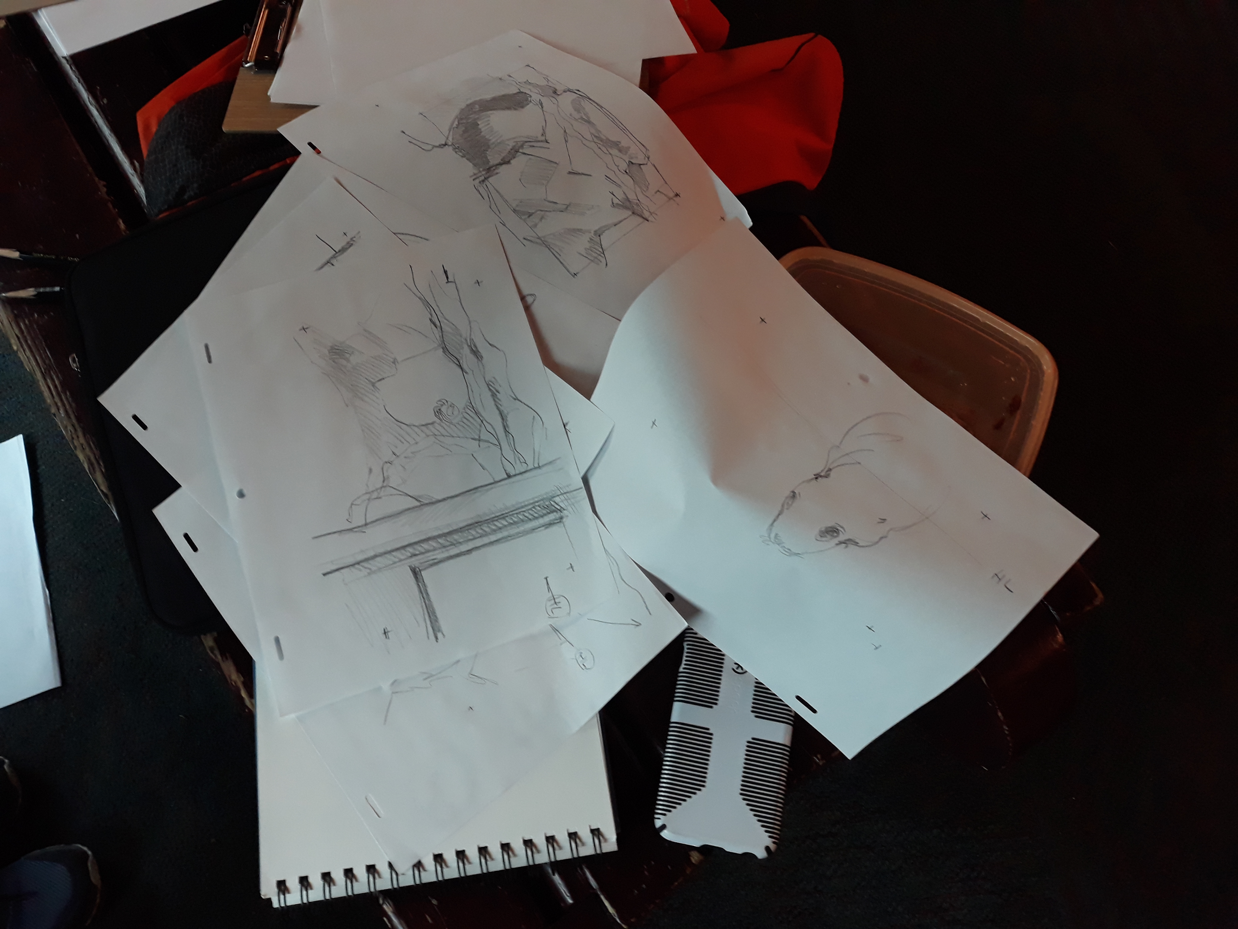 Paper is strewn on a bench, displaying some of the observational drawings of the seals movment.