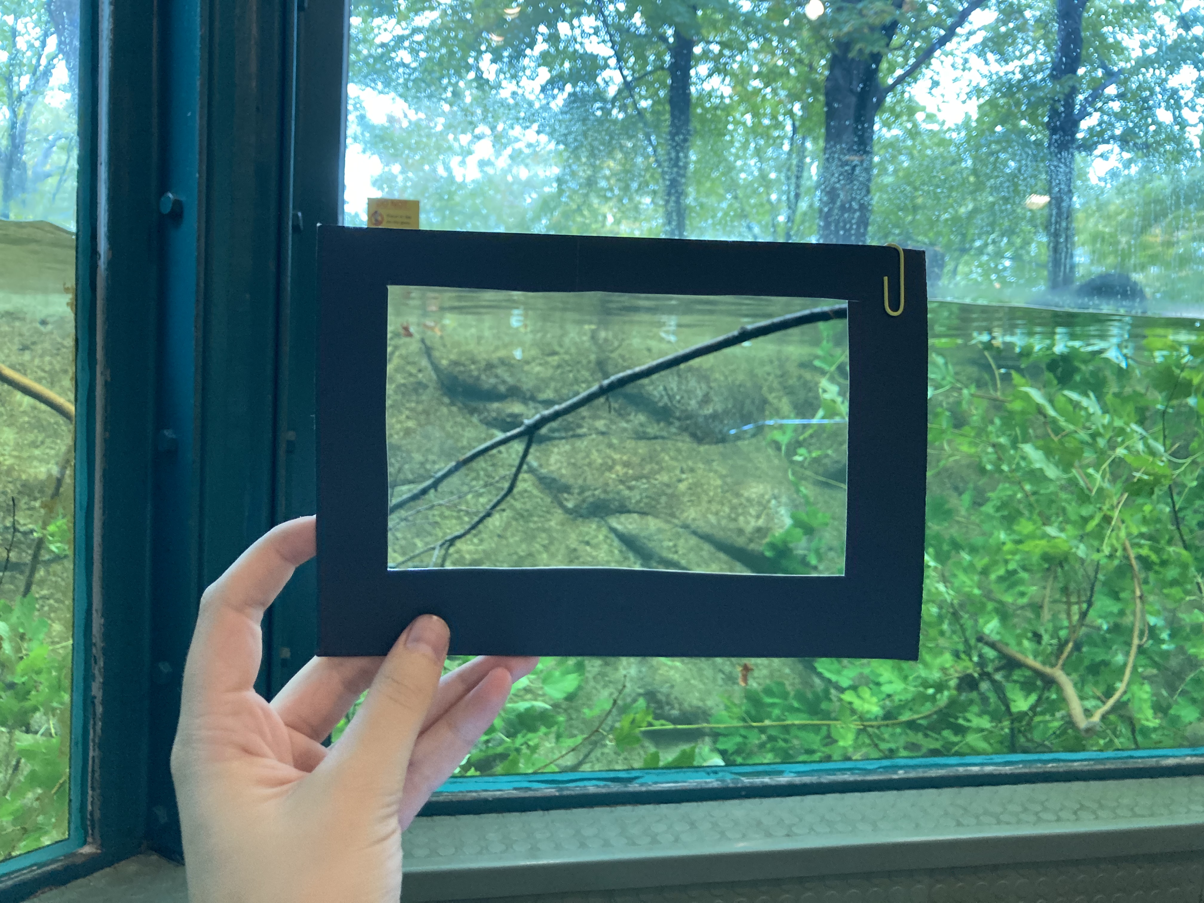A black frame is held in a hand, through which a window shows part of the watery exhibit behind.