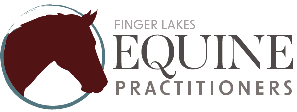 Logo with a horse head and text reading Finger Lakes Equine Practitioners