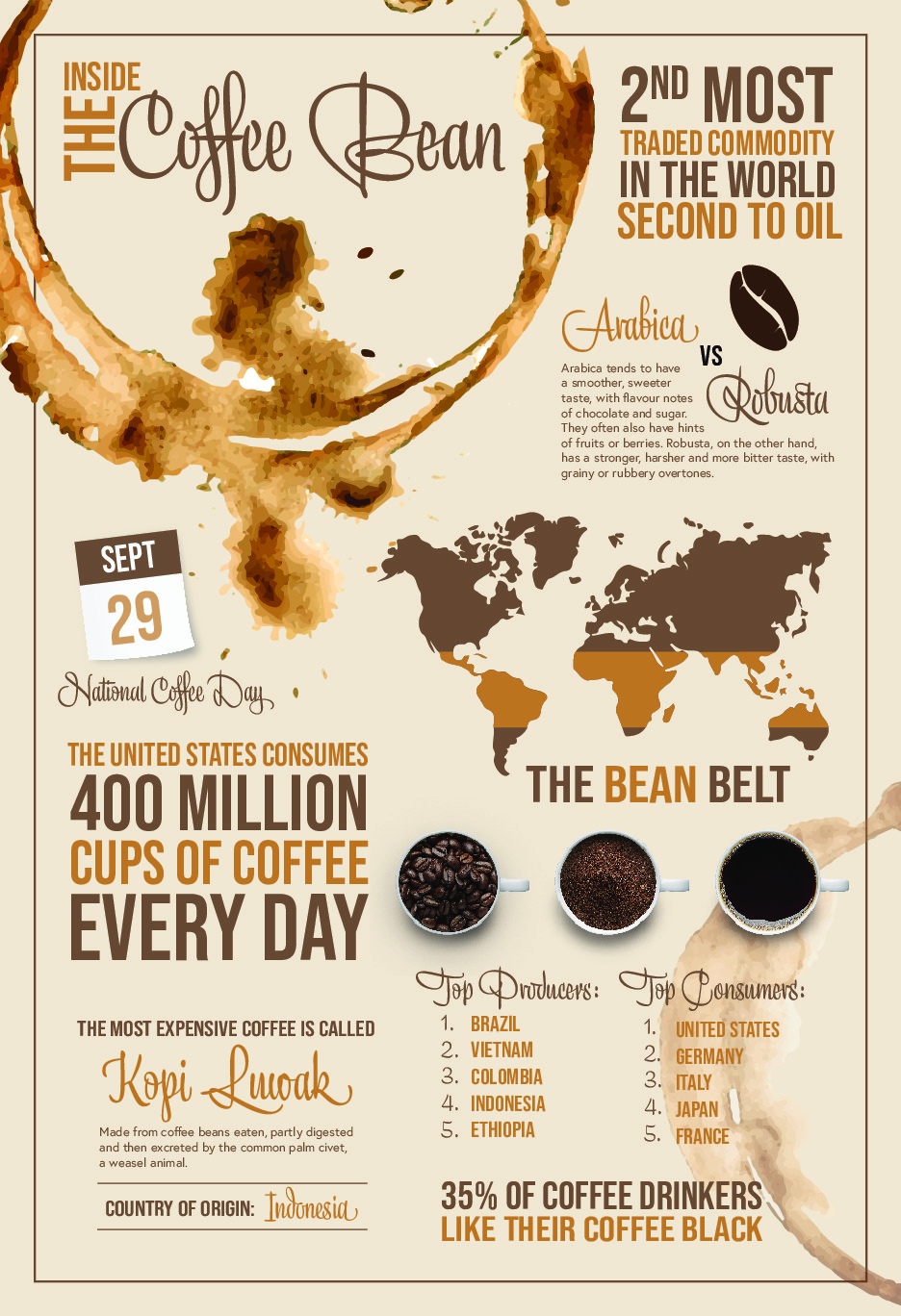 Poster talking about coffee, with a coffee ring, map of where coffee comes from and other facts about coffee