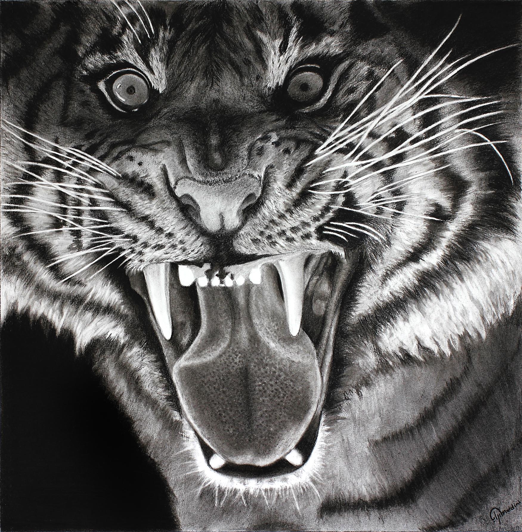 Watchful Tiger - Pencil Sketch Drawing by Ramesh Mahalingam - Pixels