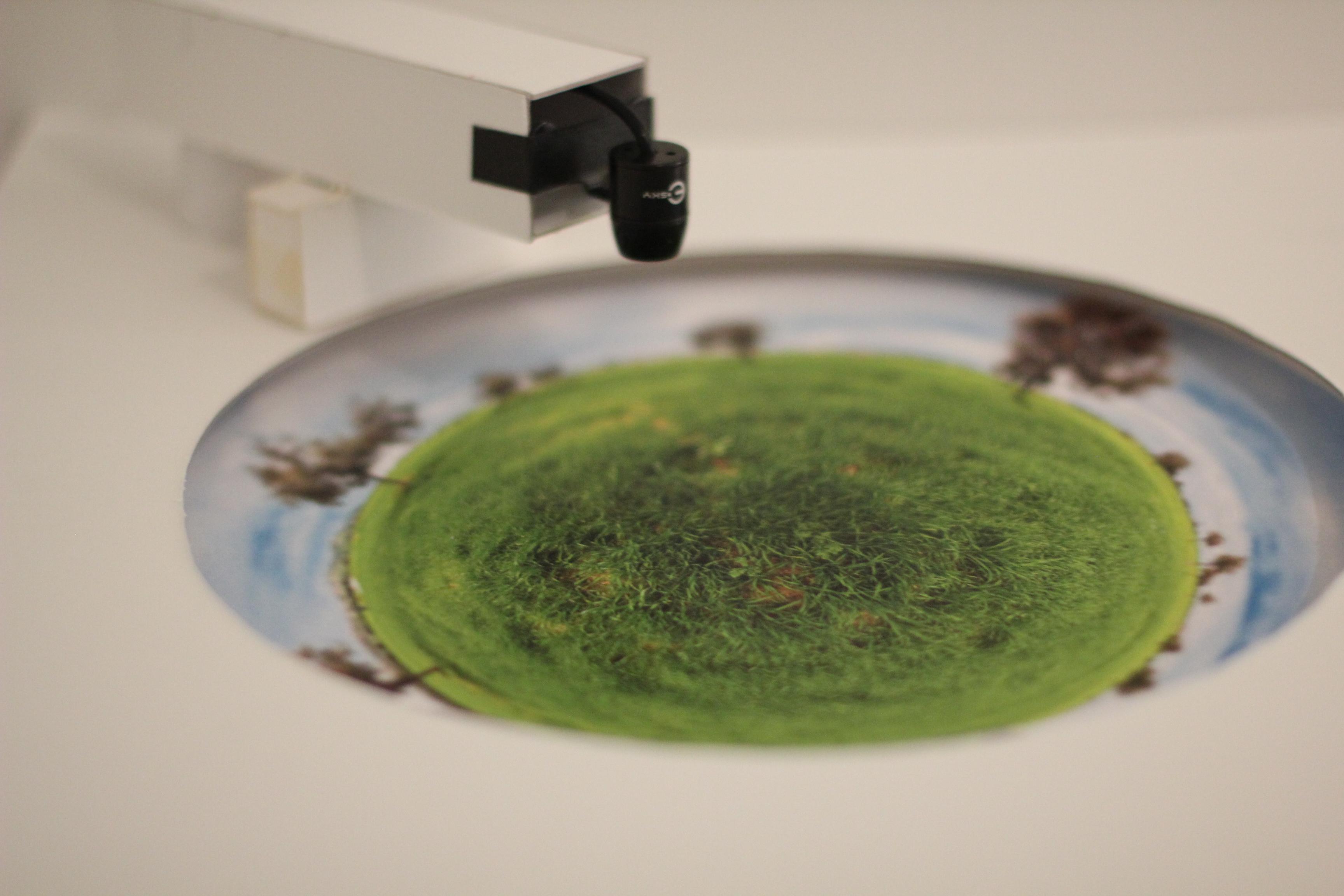 A close-up photo of a green disc.