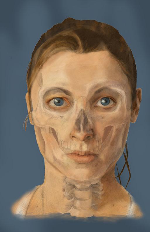 An illustration of a woman's face and the anatomy of it.