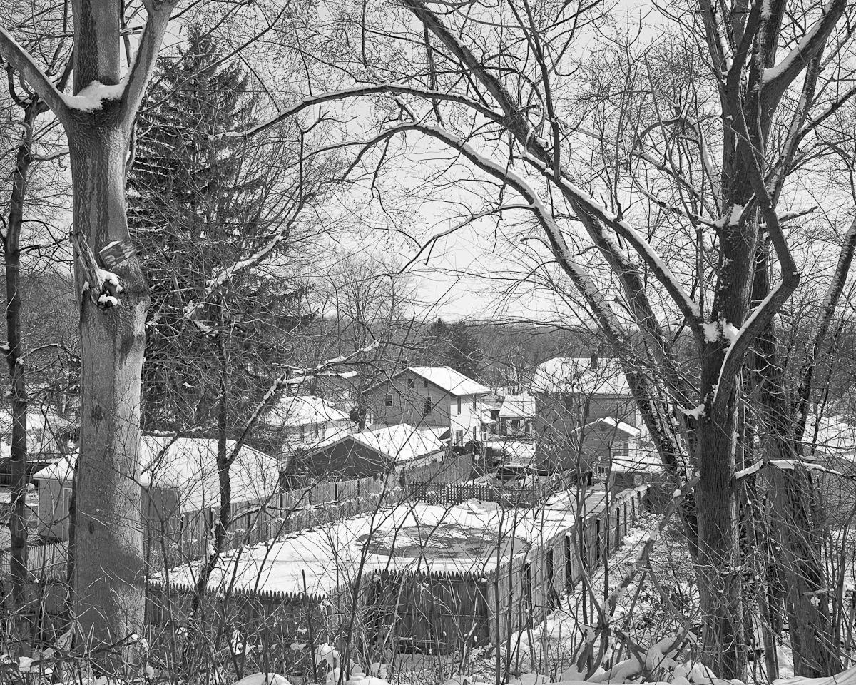 A black and white photo of trees and houses in a neighborhood.