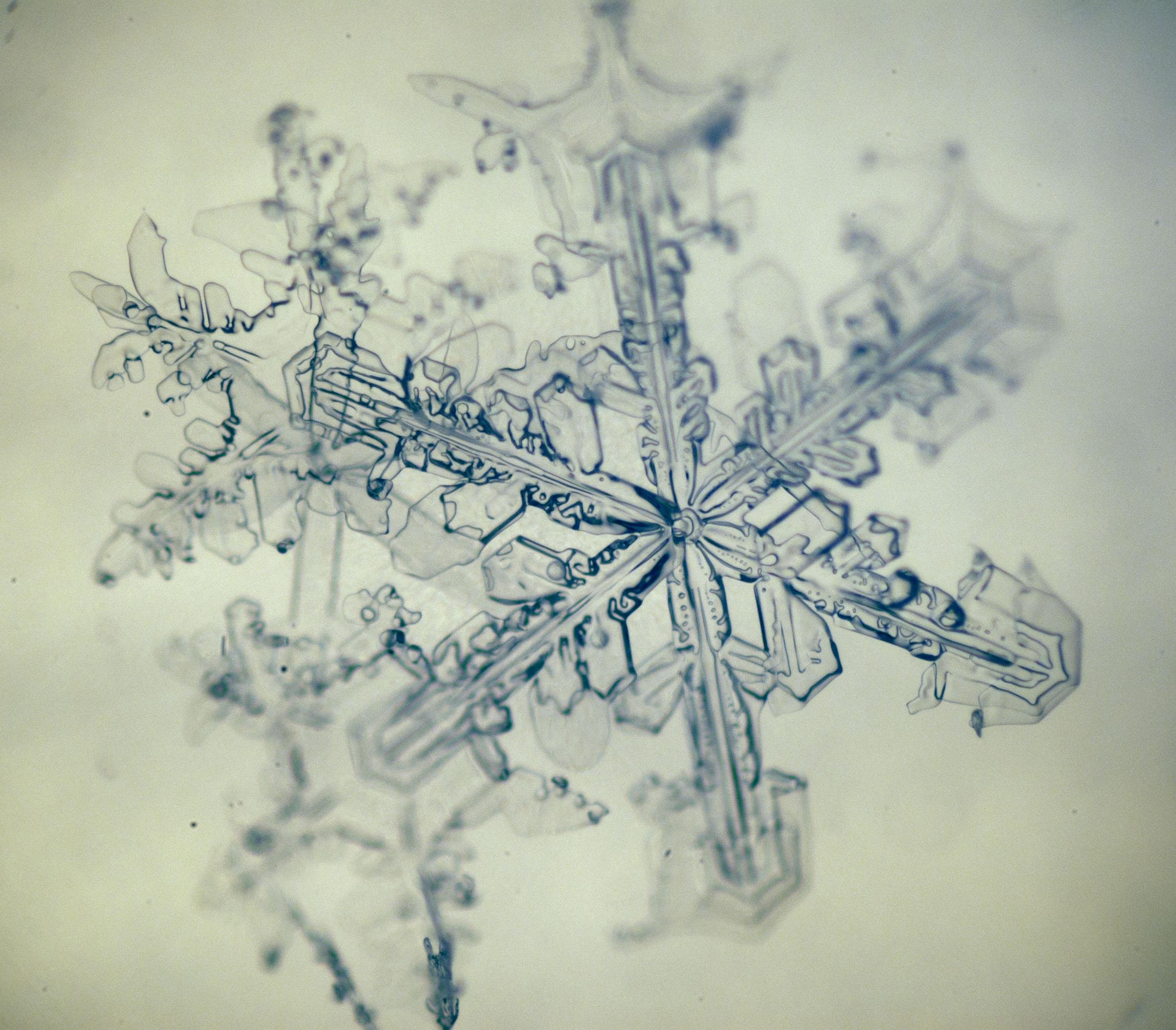 A photo of a snowflake under the microscope.