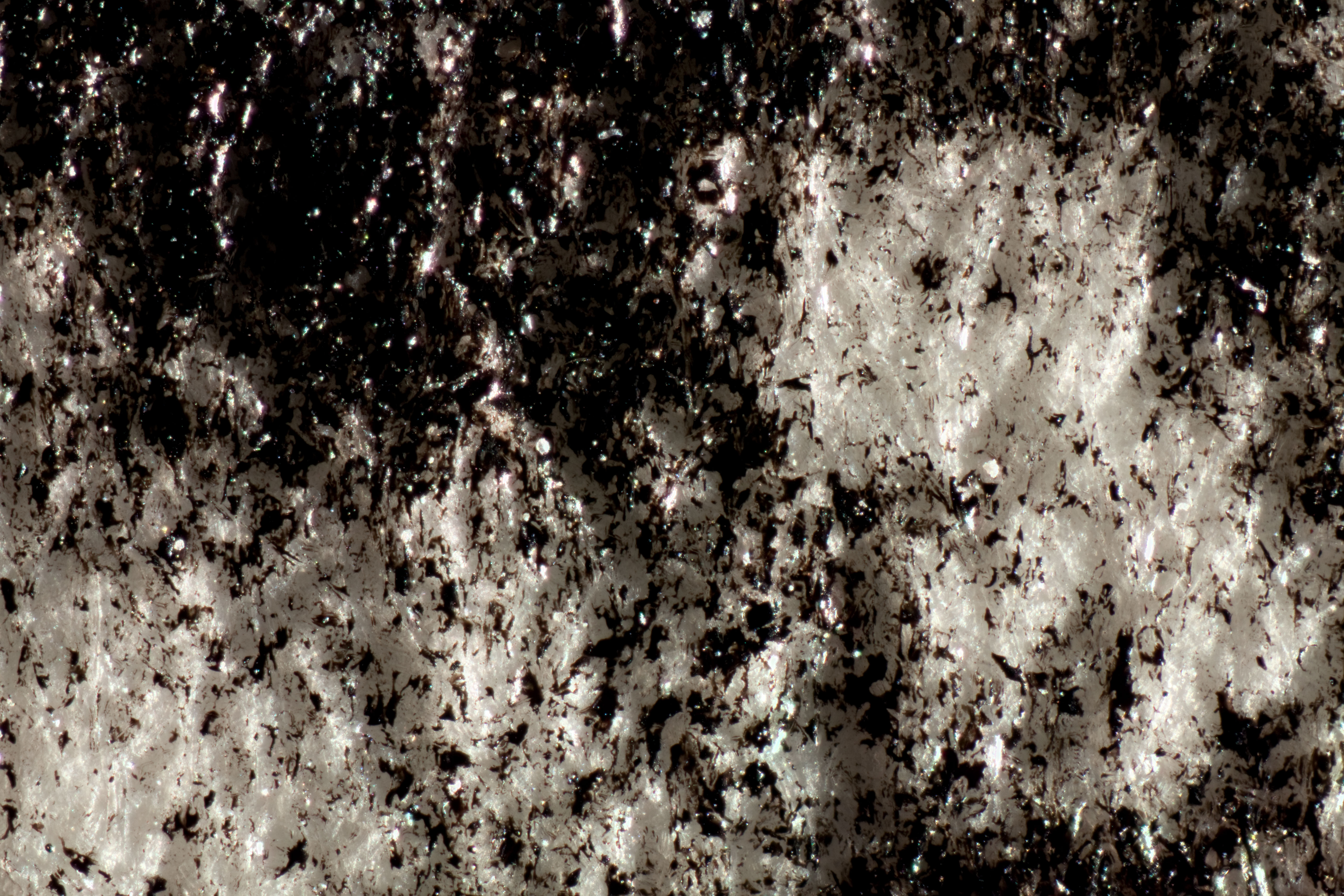 Paper fibers are slightly visible indicating the presence of a thin baryta layer. Ink rests on the support (50x magnification under raking light). 