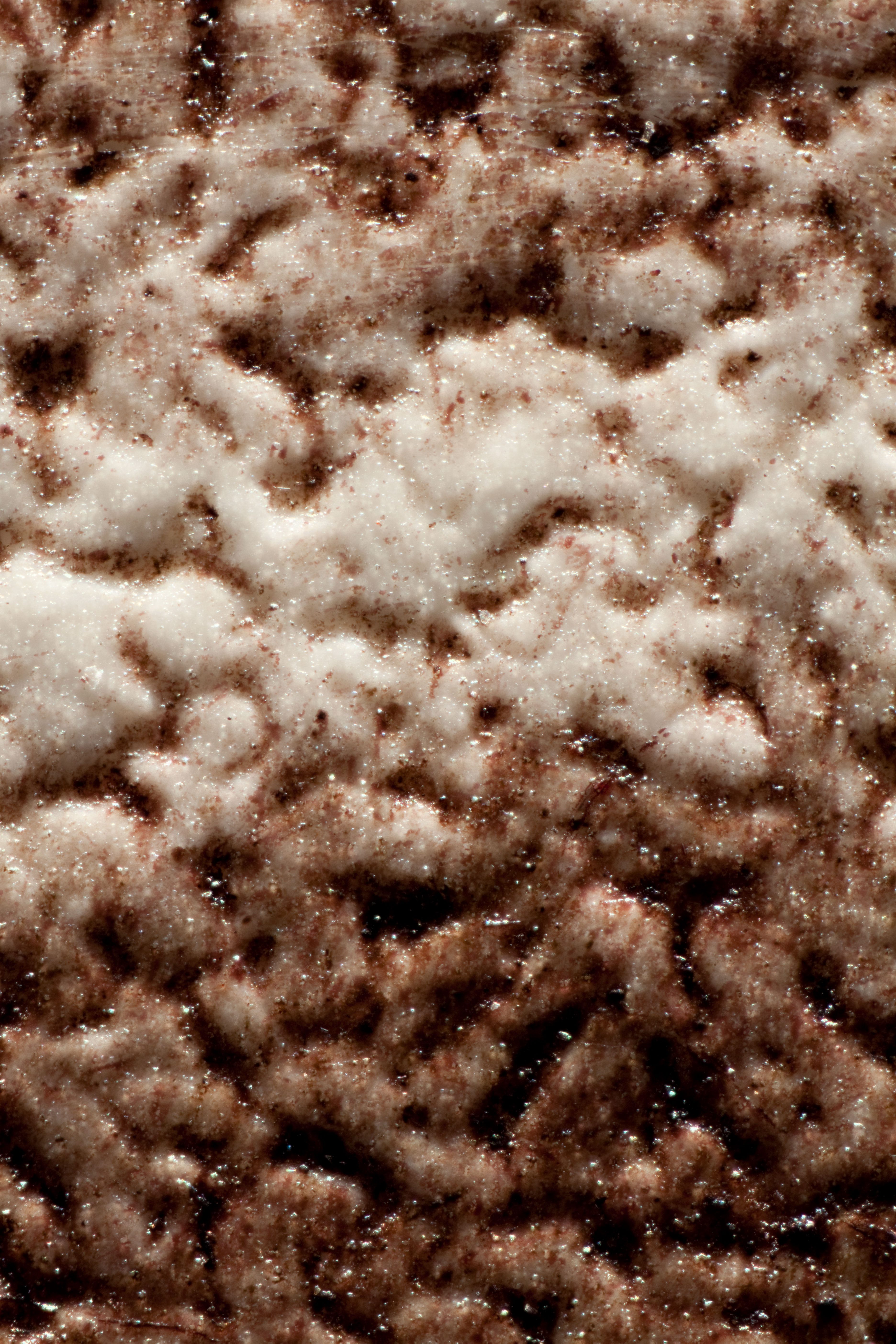 Paper fibers are obscured indicating the presence of a thick baryta layer. Surface texture has been applied. Ink rests on the support (50x magnification under raking light).