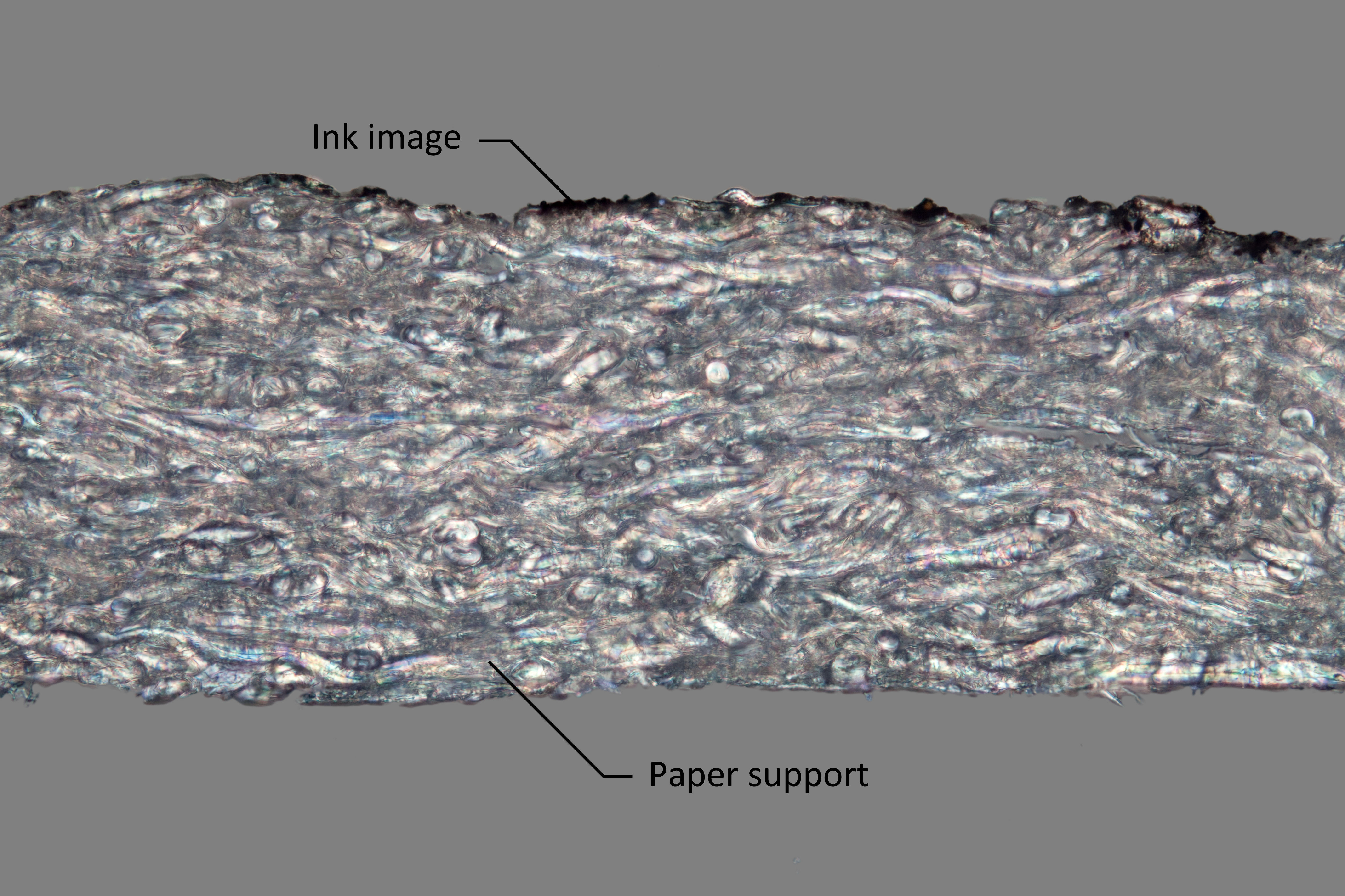 The cross section shows the one-layer structure with the ink resting on the paper support. 