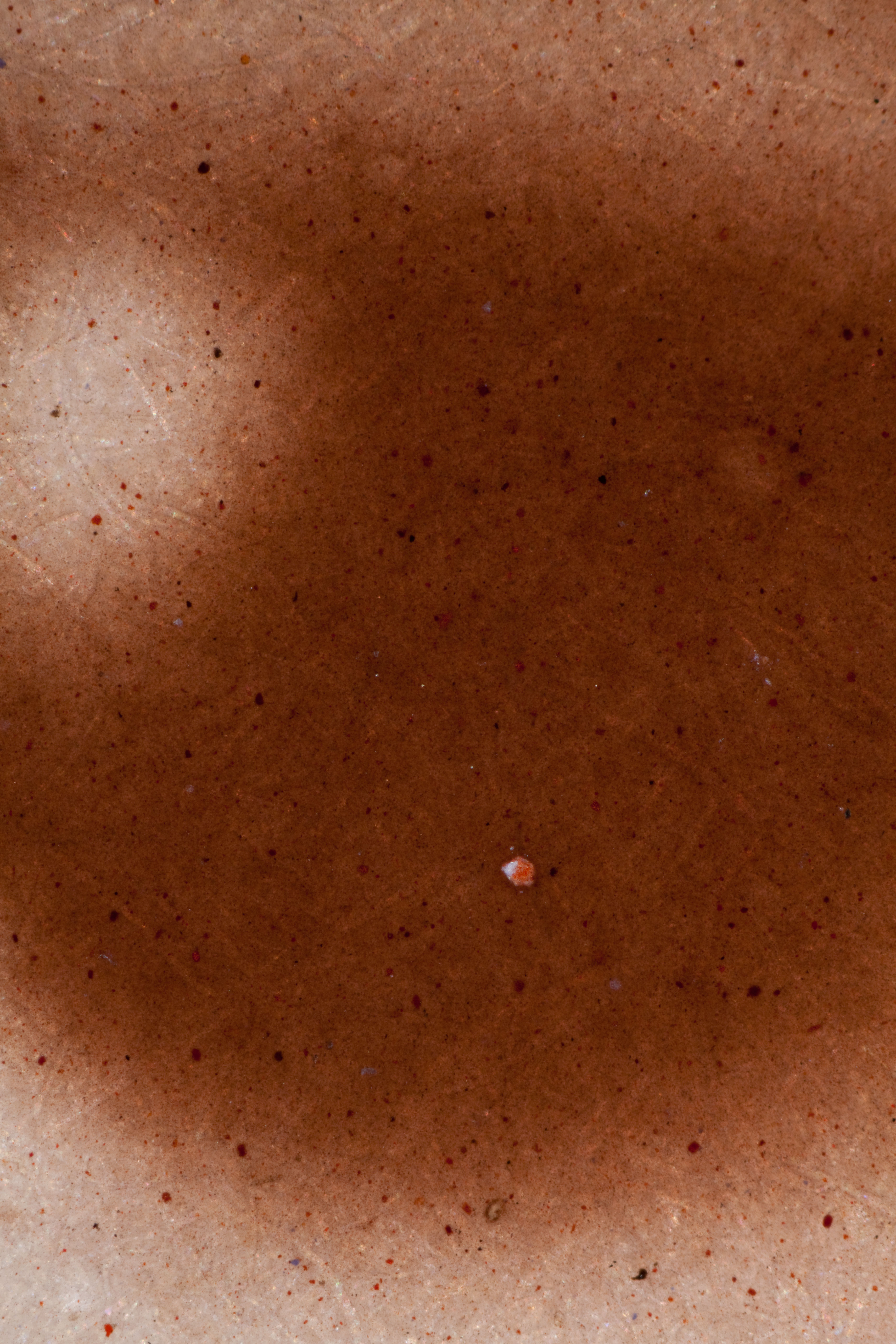 Pigment particles visible, 50x