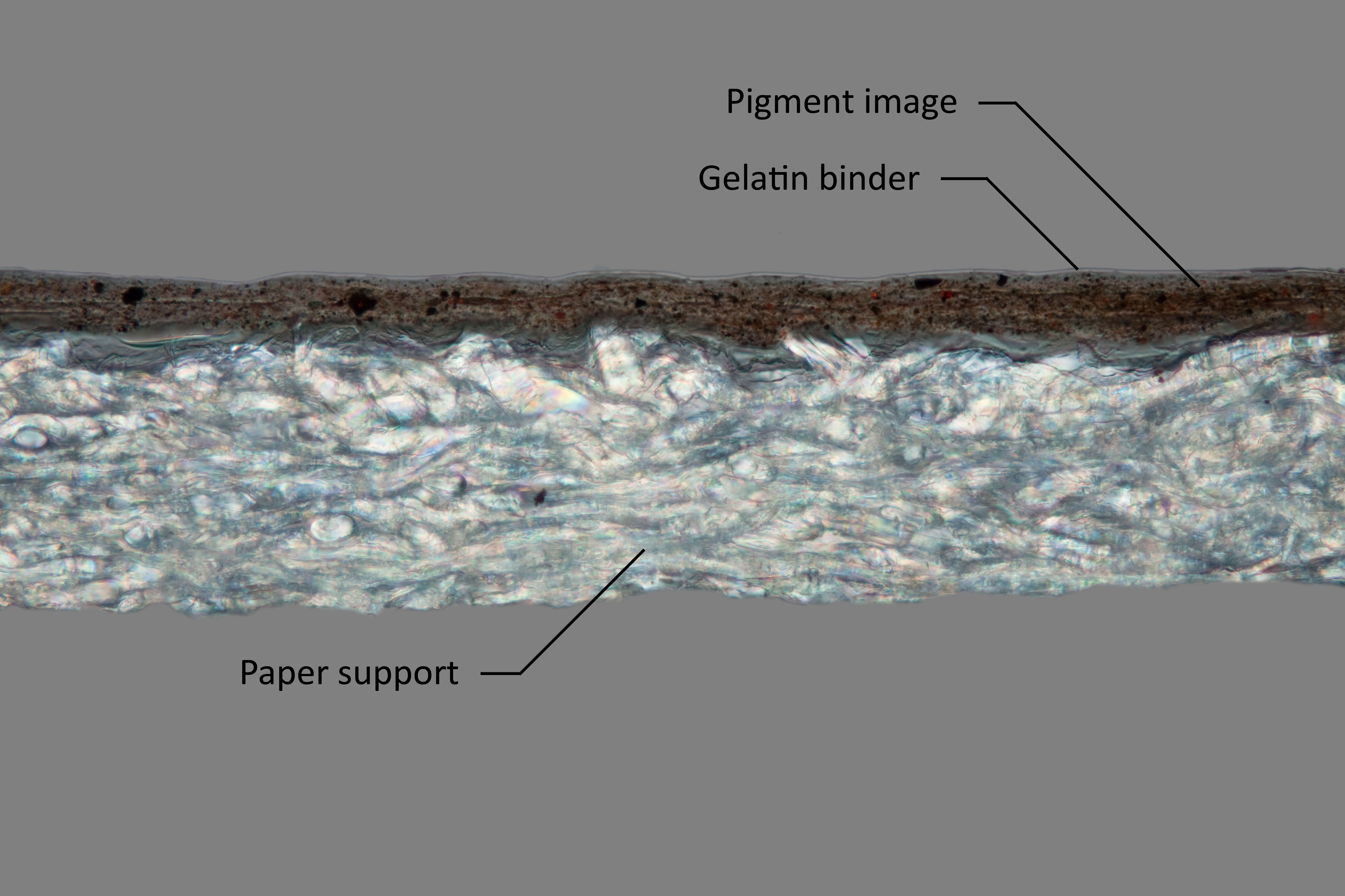 A typical cross section shows a two-layer structure. 