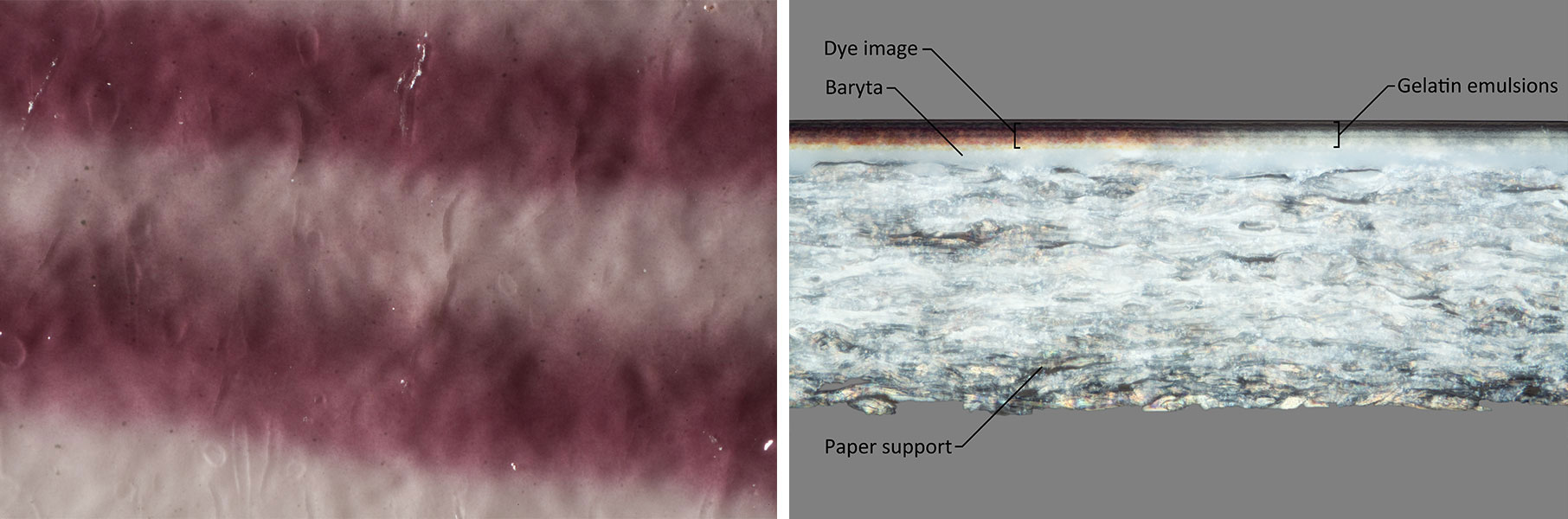 Fiber-based prints have a three-layer structure. With raking light and 50x magnification the paper fibers are completely obscured. 