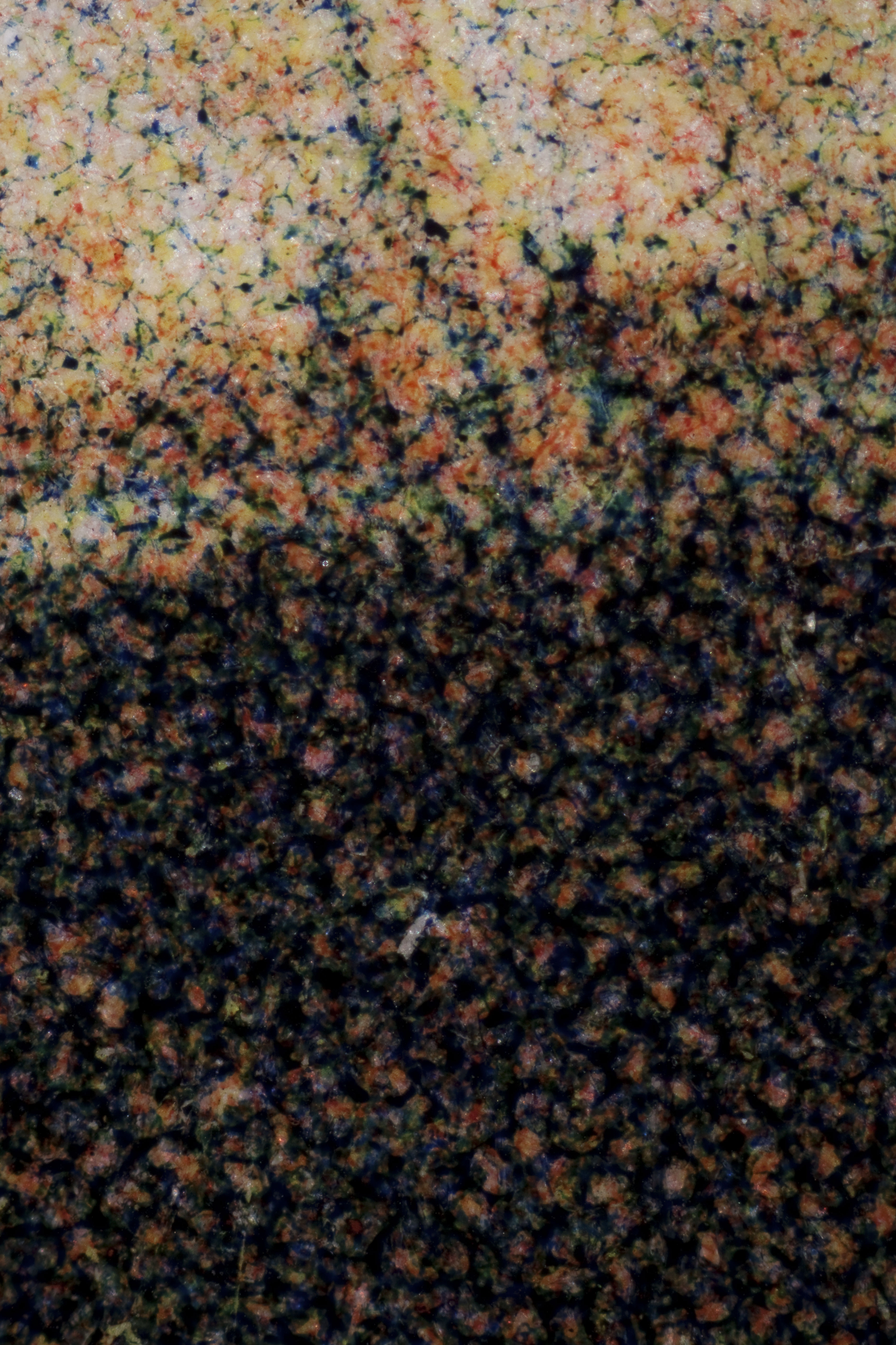 Reticulation in three-color collotype; notice the misregistration of color (50x magnification). 