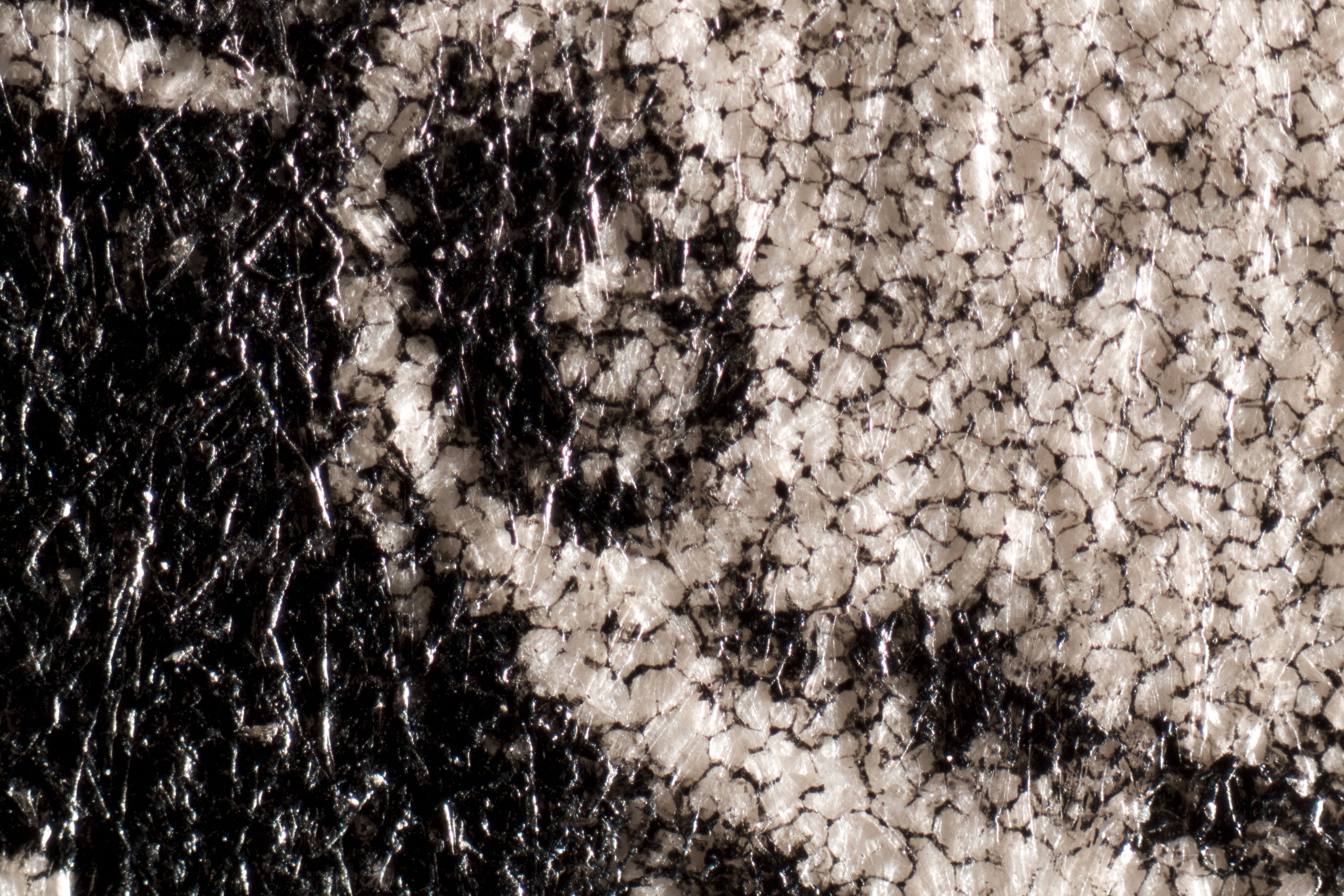 Paper fibers visible in uncoated print (50x magnification, raking light). 