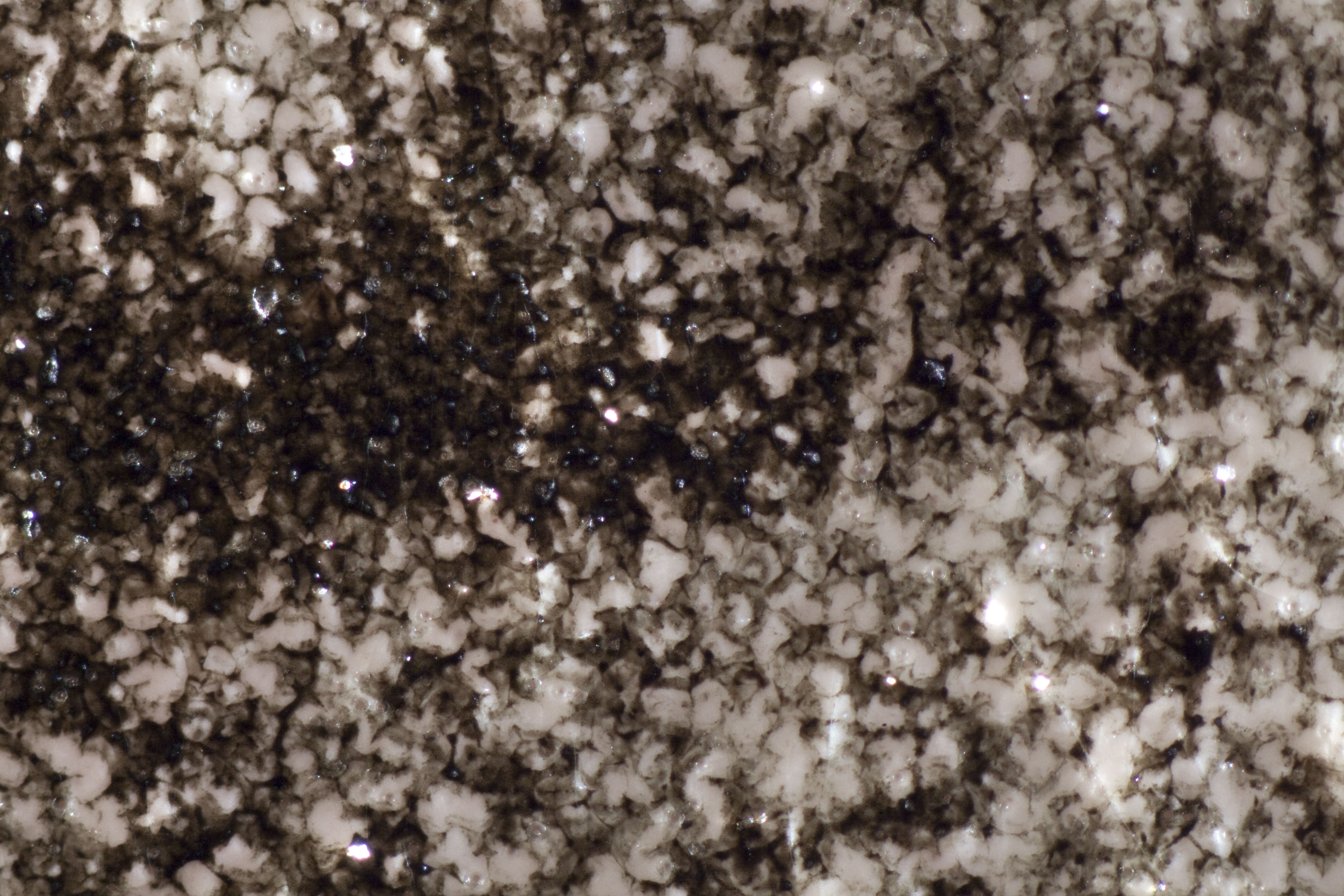 Paper fibers obscured in print with baryta-like layer and top coat (50x magnification, raking light). 