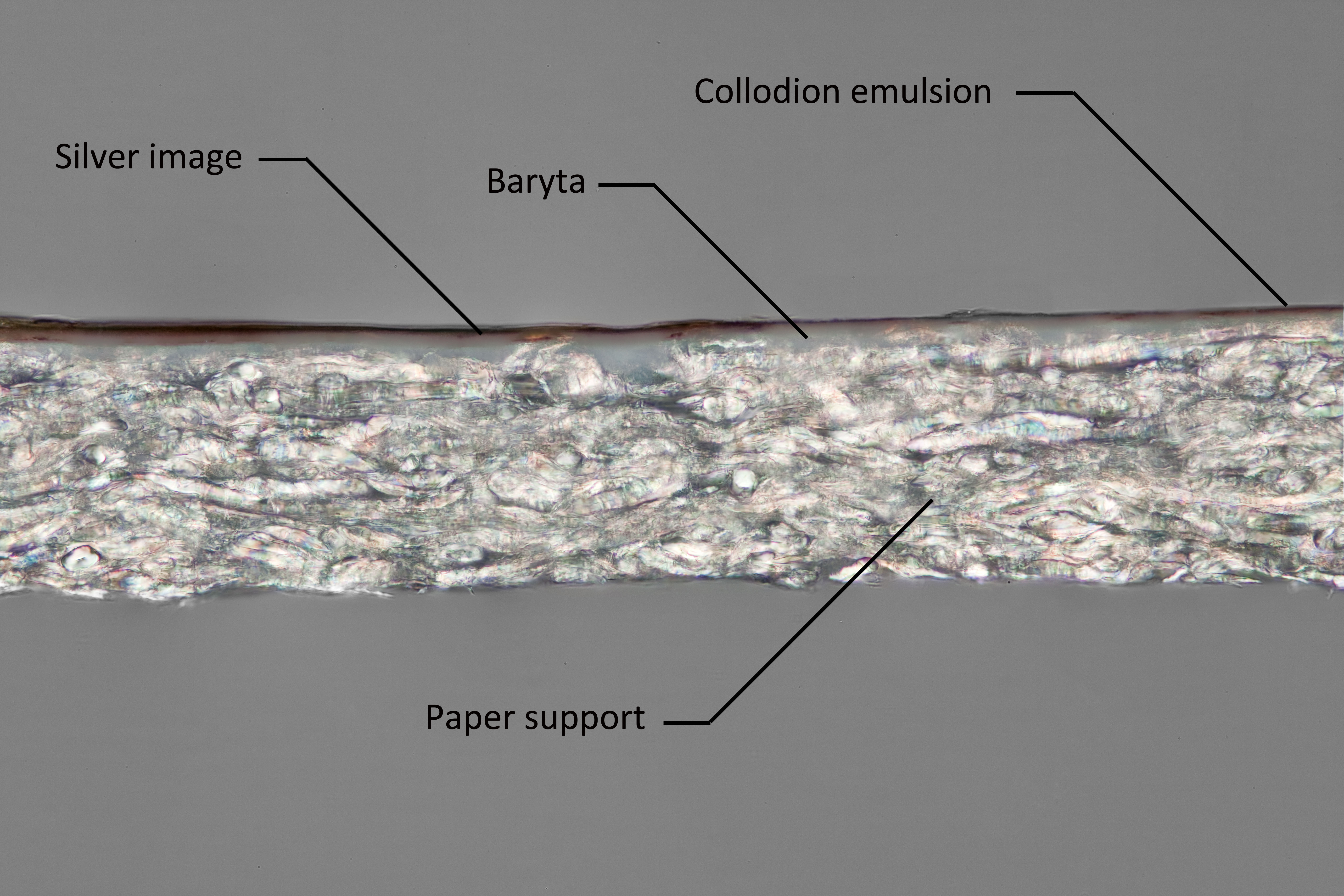 The cross section reveals a three layer structure. 