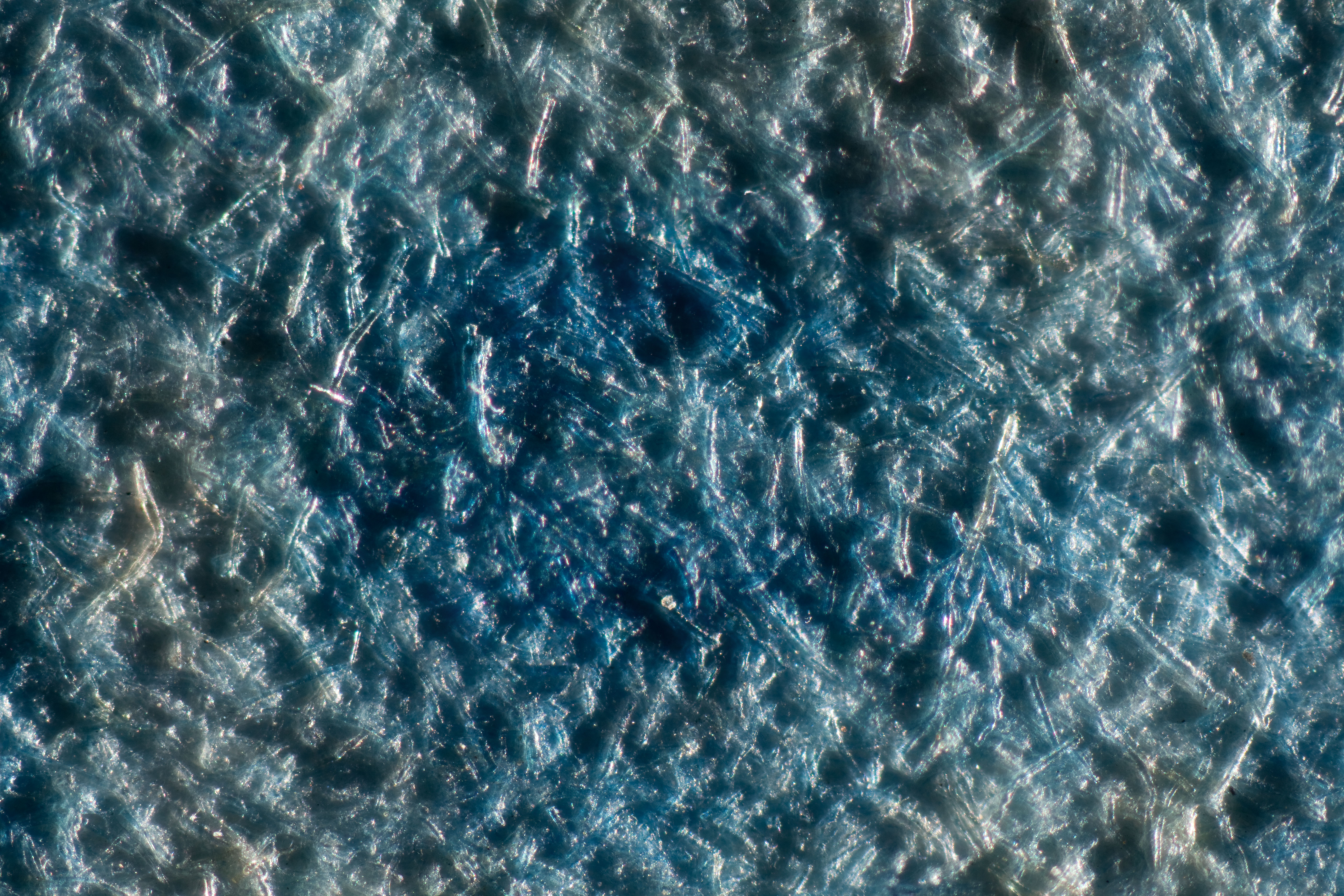 Paper fibers are clearly visible at 50x magnification in raking light.