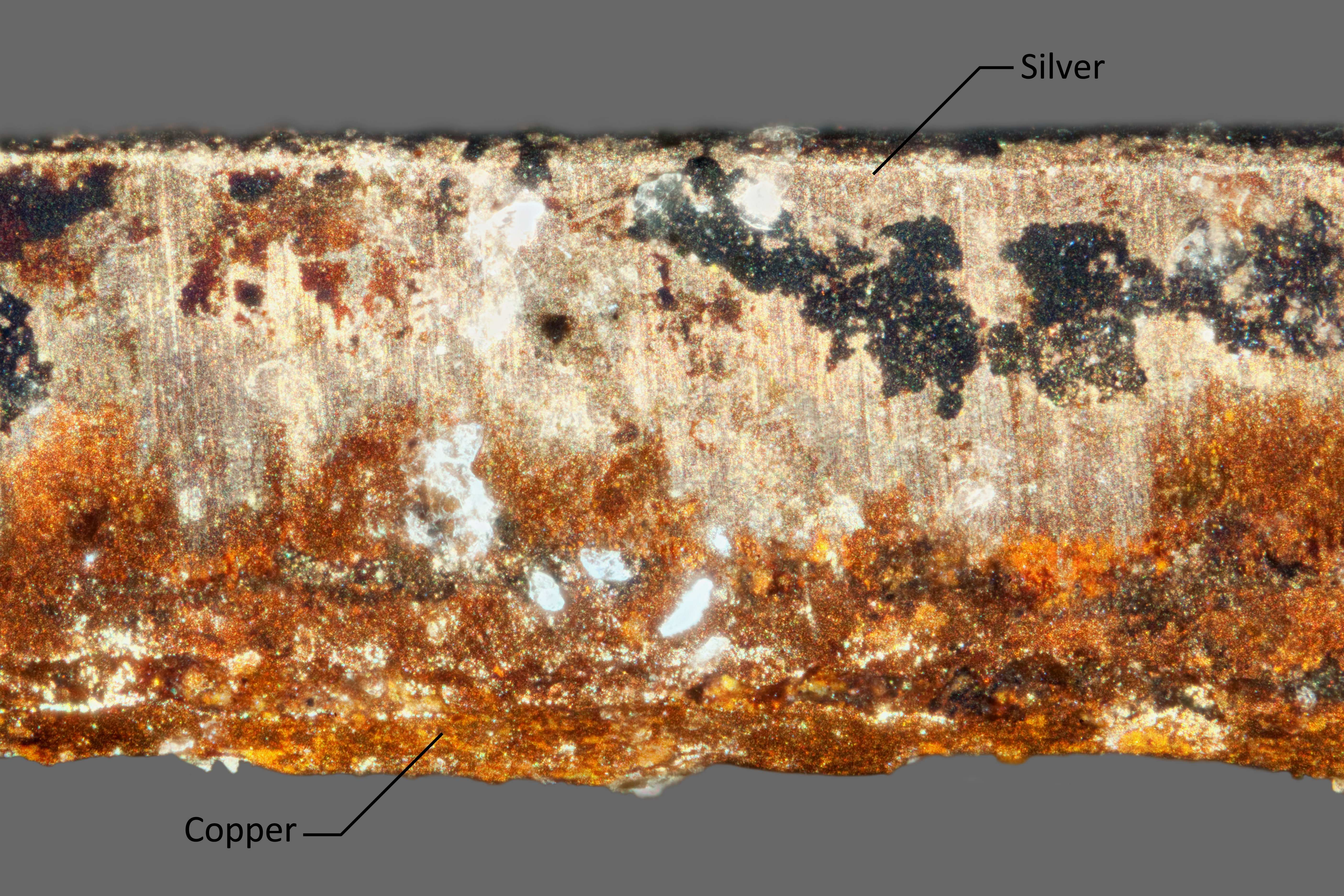 This cross section is taken from the edge of a daguerreotype plate. The silver layer appears thicker than it actually is. Pure silver is very soft. The effect seen here is possibly an artifact of the plate having been cut from a larger plate when the object was made which could have pushed the soft silver layer down along the edge of the copper layer.