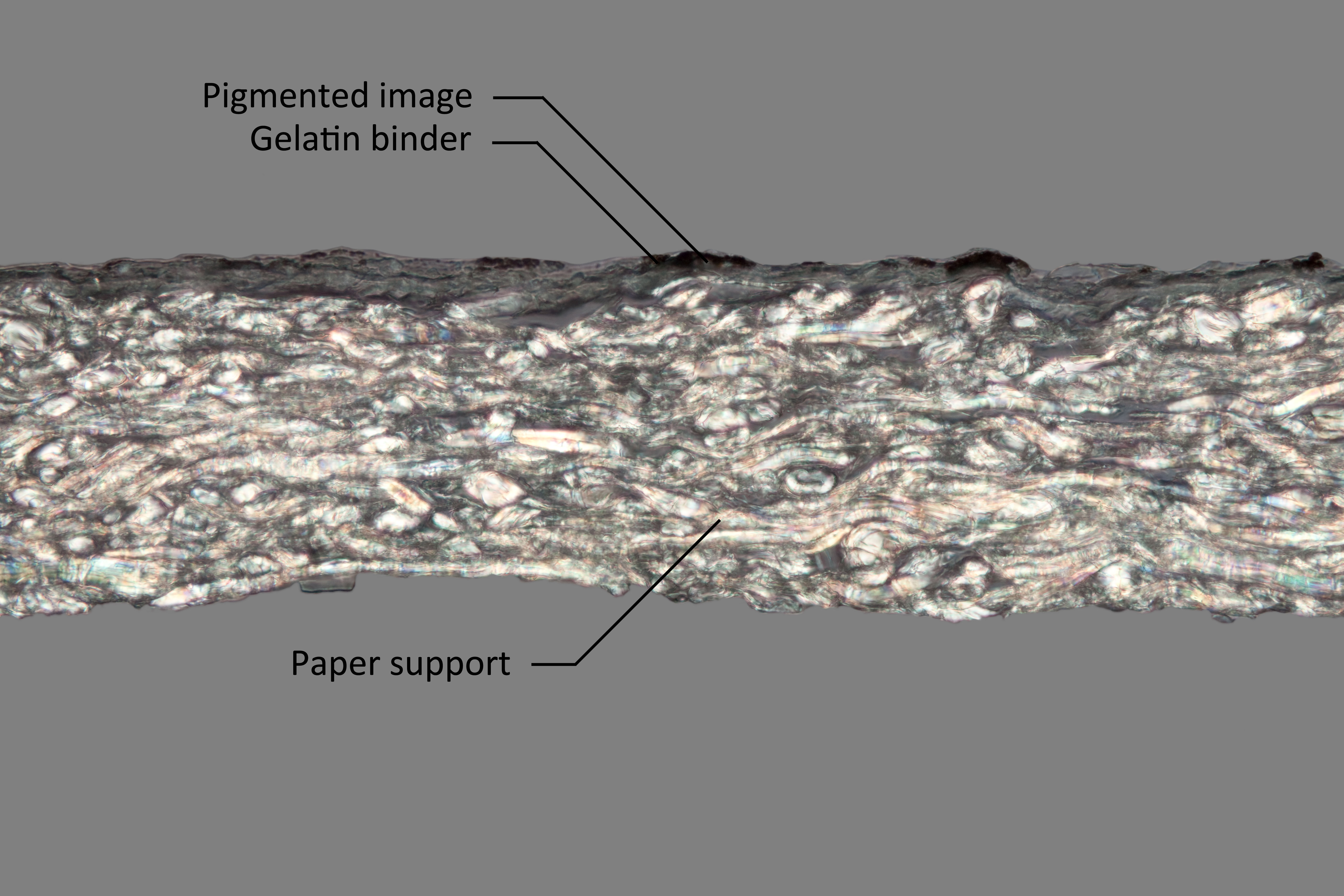 Direct carbon typically have a two layer structure. 