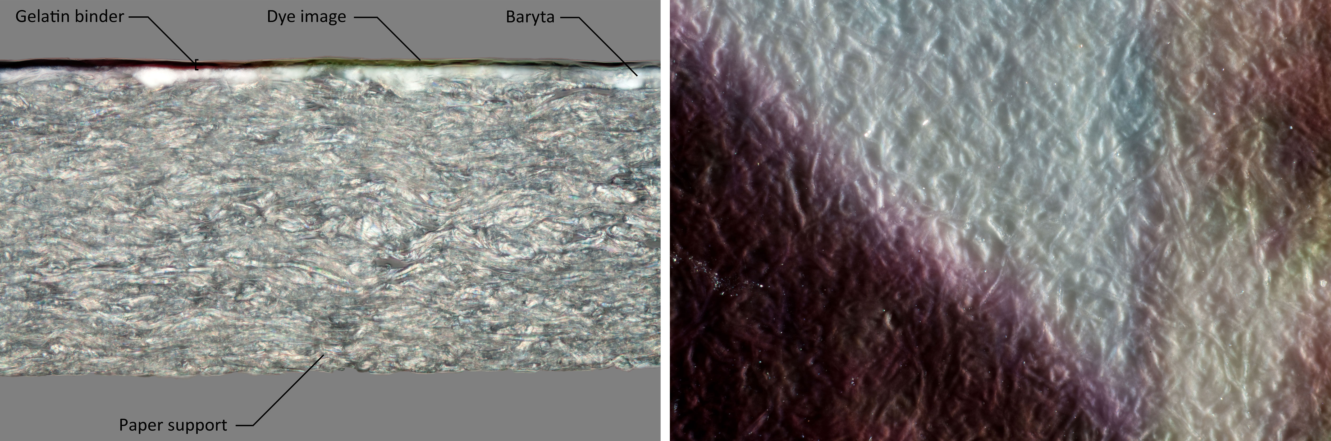 A surface. With raking light and 50x magnification, paper fibers are visible 