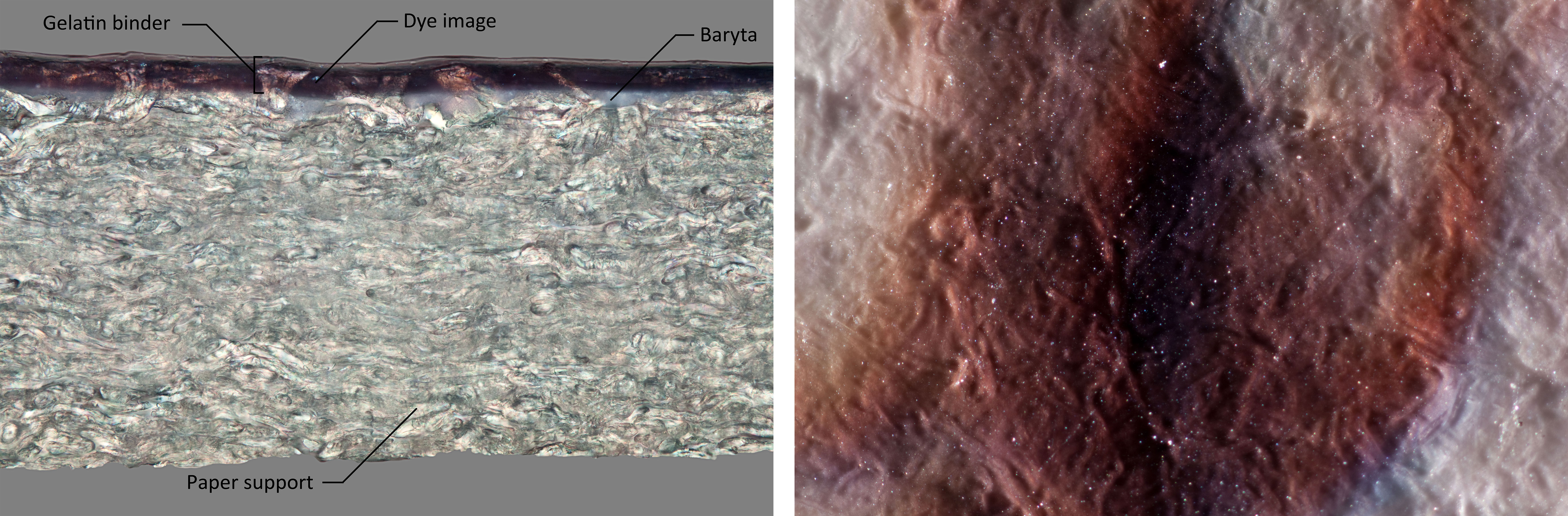 G surface. With raking light and 50x magnification, paper fibers are partially visible. The applied texture is also visible, though better seen with lower magnification. 