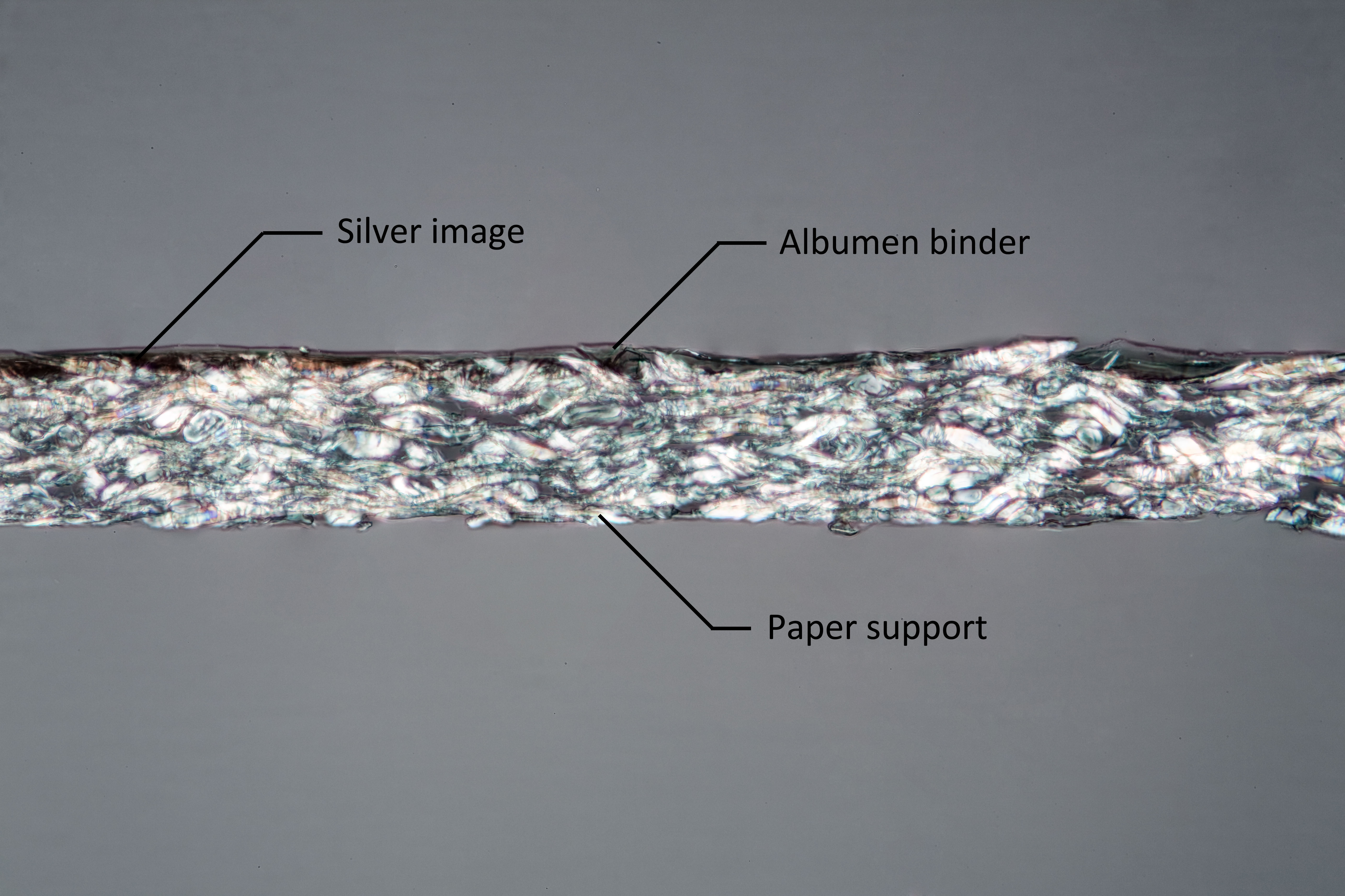 This cross section shows the thin paper support.