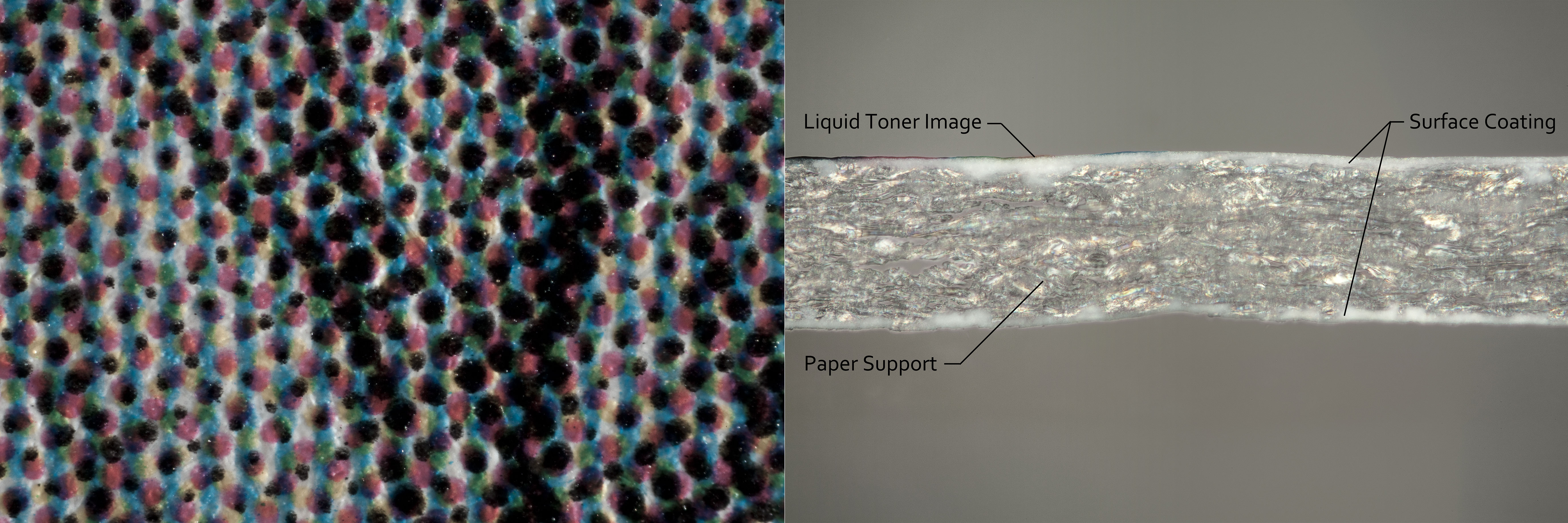 On coated papers, the paper fibers will be obscured. The image is fused to the coating. 