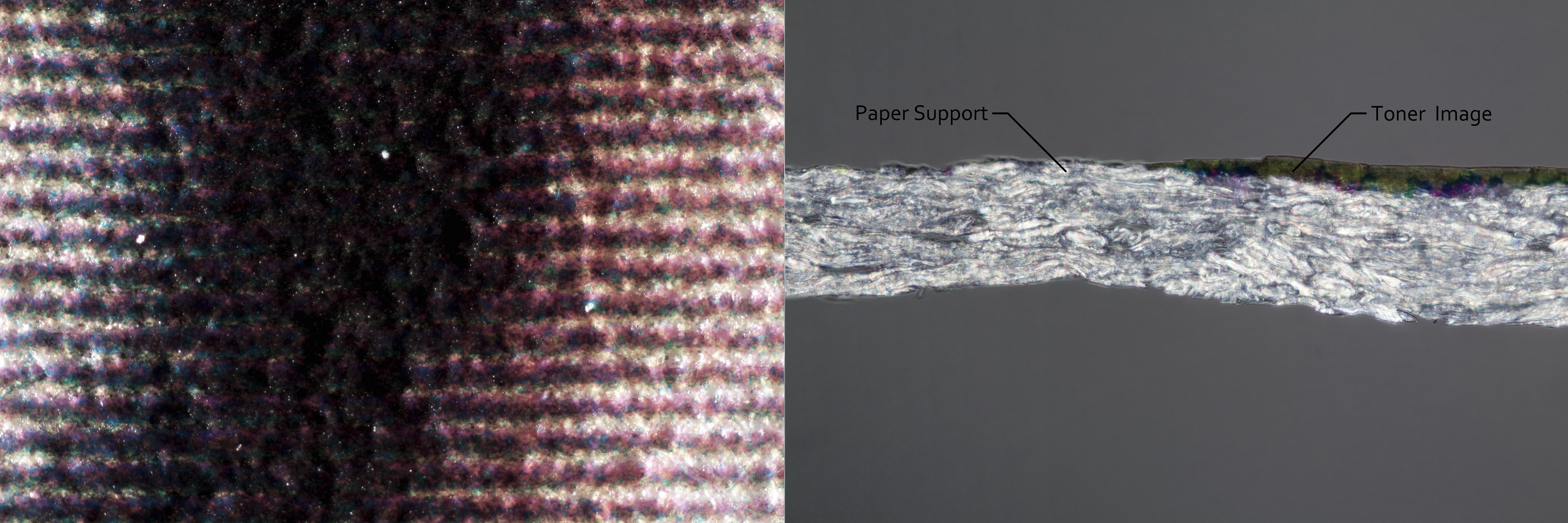 The paper fibers will be visible on uncoated papers. 