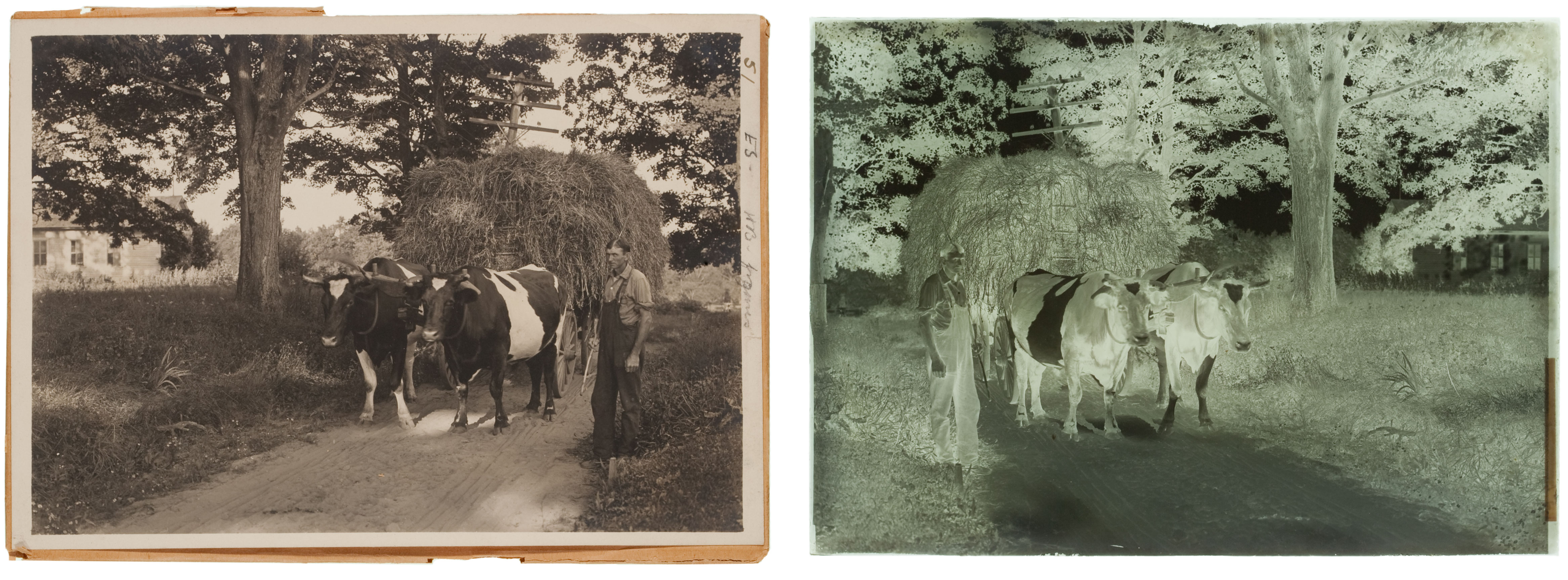 Shown here is a gelatin dry plate negative and corresponding silver gelatin DOP print.