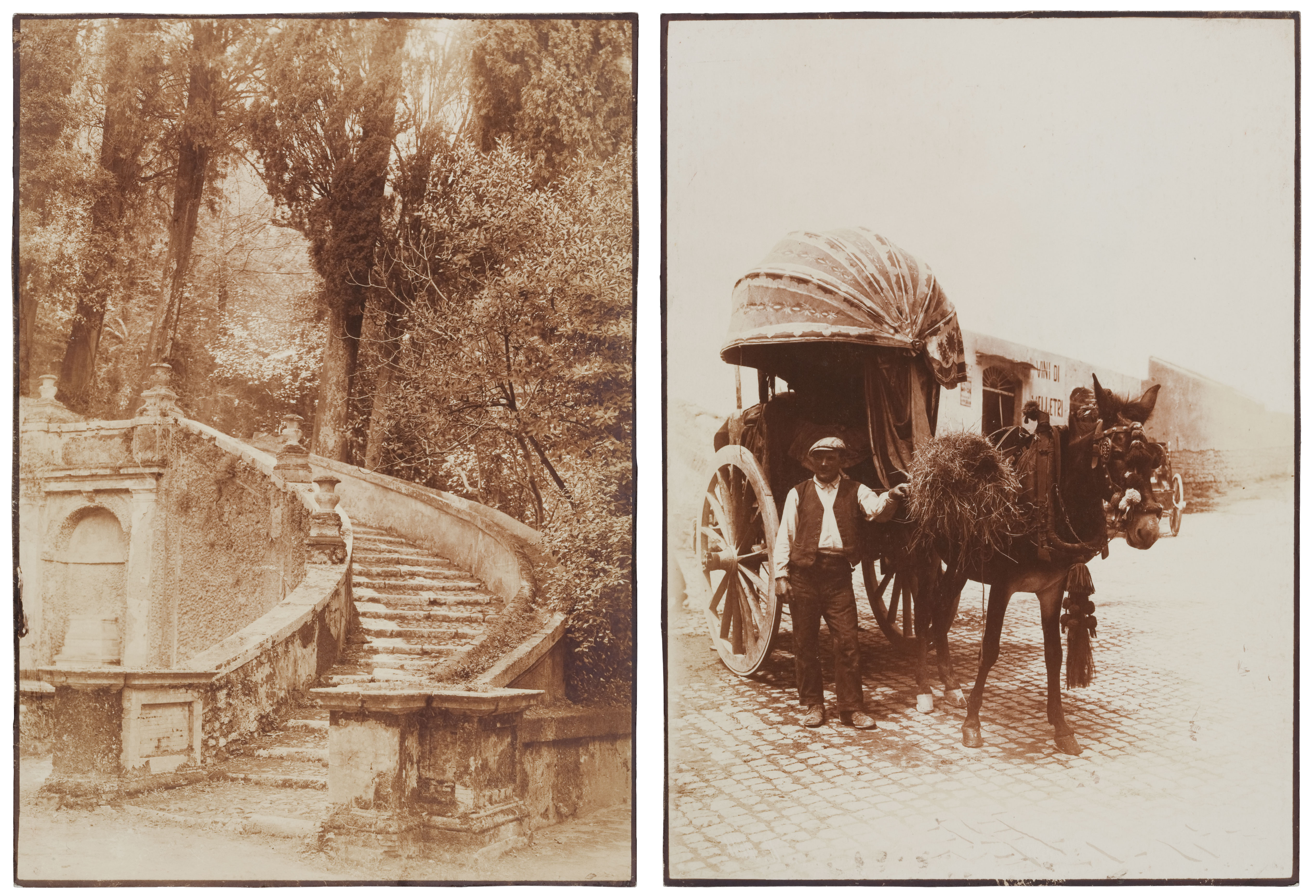 Matte albumen prints have characteristic yellow highlights, warm image tones, and fading of albumen prints. 