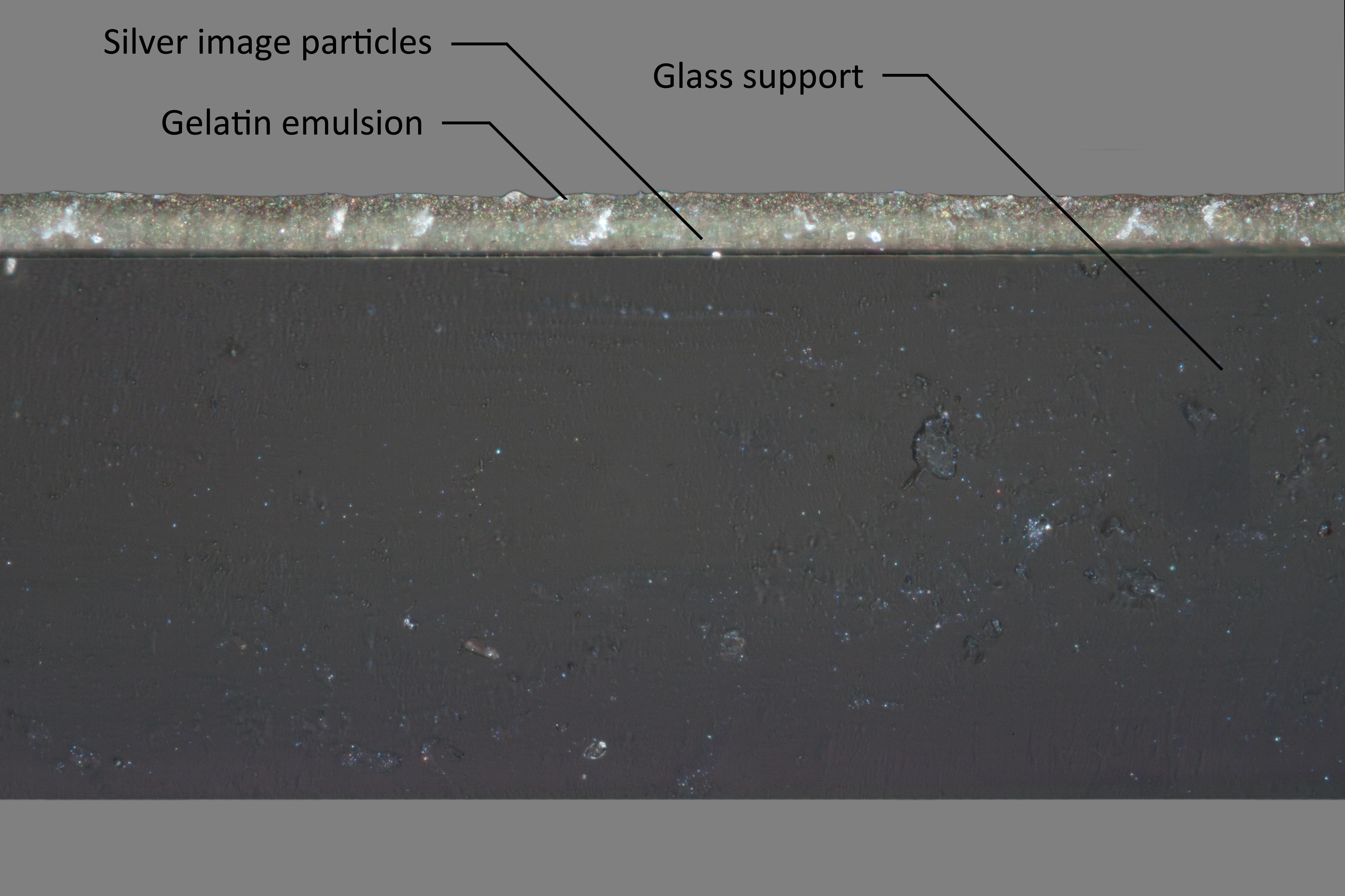 This cross section reveals a two layer structure. 