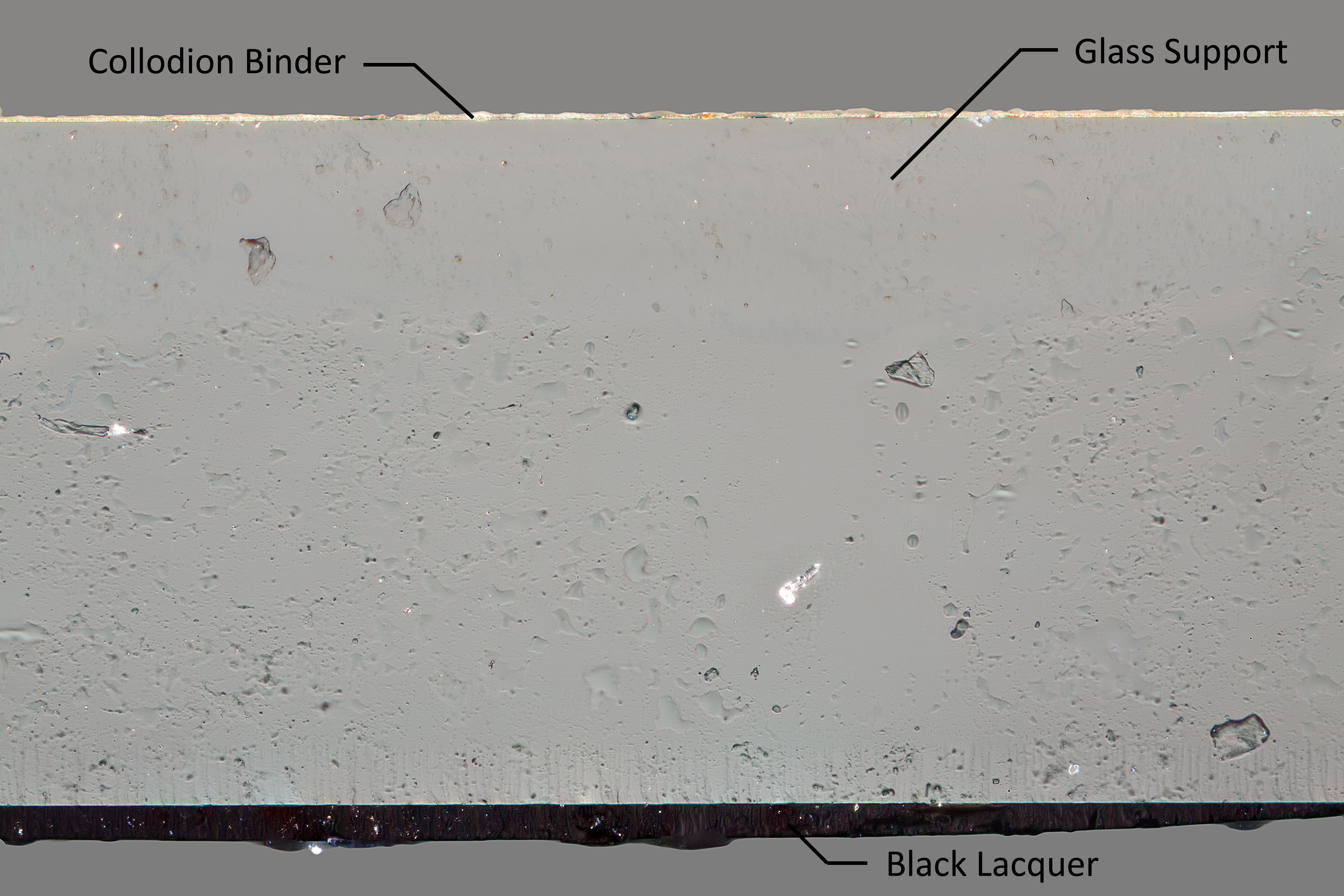 The cross section shows the structure of a typical ambrotype.